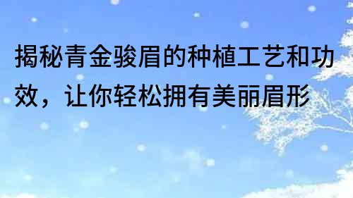 揭秘青金駿眉的種植工藝和功效，讓你輕松擁有美麗眉形