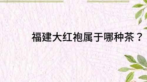 福建大紅袍屬于哪種茶？