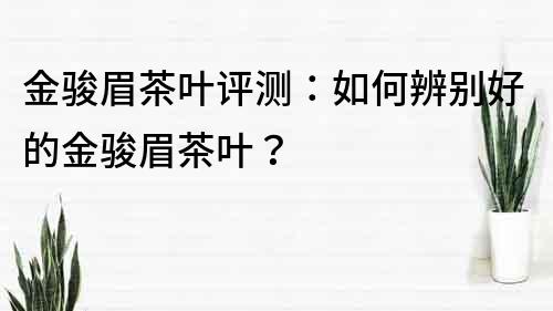 金駿眉茶葉評(píng)測：如何辨別好的金駿眉茶葉？