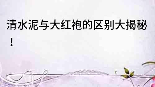清水泥與大紅袍的區別大揭秘！
