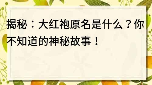 揭秘：大紅袍原名是什么？你不知道的神秘故事！