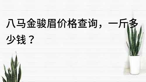 八馬金駿眉價格查詢，一斤多少錢？
