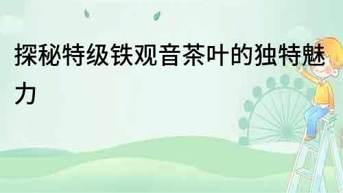 探秘特級鐵觀音茶葉的獨特魅力