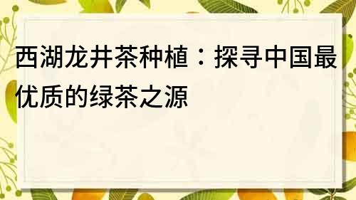 西湖龍井茶種植：探尋中國最優質的綠茶之源