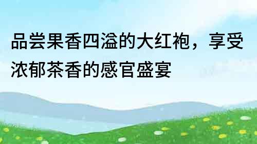 品嘗果香四溢的大紅袍，享受濃郁茶香的感官盛宴