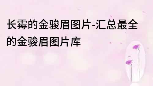 長霉的金駿眉圖片-匯總最全的金駿眉圖片庫