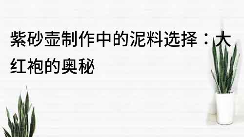 紫砂壺制作中的泥料選擇：大紅袍的奧秘