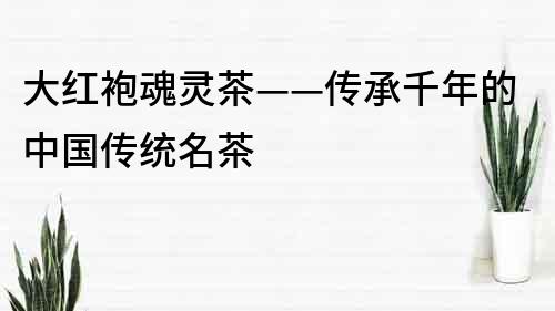 大紅袍魂靈茶——傳承千年的中國傳統(tǒng)名茶