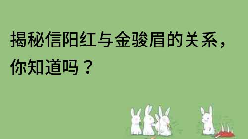 揭秘信陽紅與金駿眉的關(guān)系，你知道嗎？