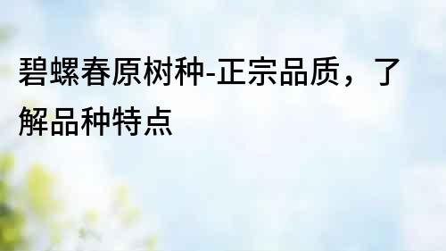 碧螺春原樹種-正宗品質，了解品種特點
