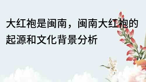大紅袍是閩南，閩南大紅袍的起源和文化背景分析