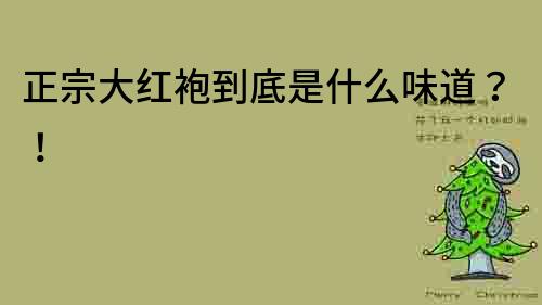 正宗大紅袍到底是什么味道？！