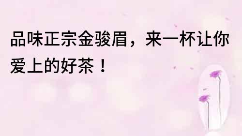 品味正宗金駿眉，來一杯讓你愛上的好茶！