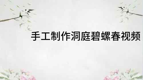 手工制作洞庭碧螺春視頻