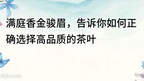 滿庭香金駿眉，告訴你如何正確選擇高品質的茶葉