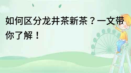 如何區分龍井茶新茶？一文帶你了解！