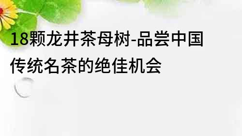 18顆龍井茶母樹-品嘗中國傳統名茶的絕佳機會