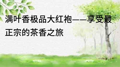 滿葉香極品大紅袍——享受最正宗的茶香之旅