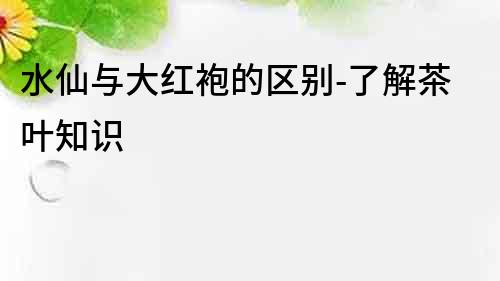 水仙與大紅袍的區別-了解茶葉知識
