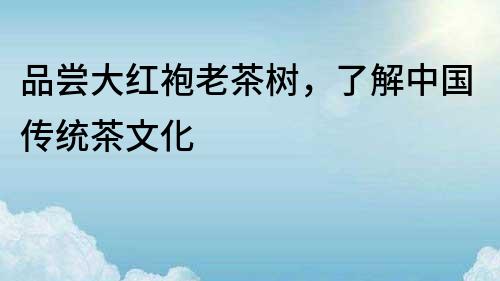 品嘗大紅袍老茶樹，了解中國傳統茶文化