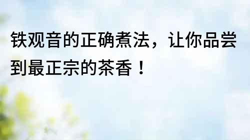 鐵觀音的正確煮法，讓你品嘗到最正宗的茶香！