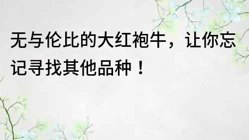 無與倫比的大紅袍牛，讓你忘記尋找其他品種！