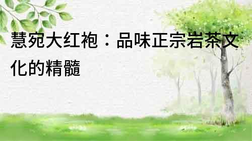 慧宛大紅袍：品味正宗巖茶文化的精髓