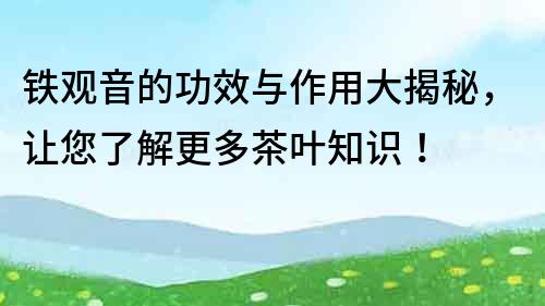鐵觀音的功效與作用大揭秘，讓您了解更多茶葉知識！