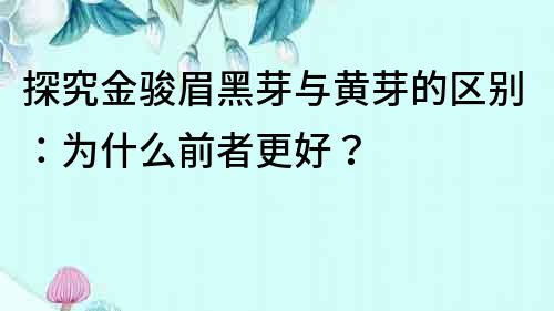 探究金駿眉黑芽與黃芽的區別：為什么前者更好？
