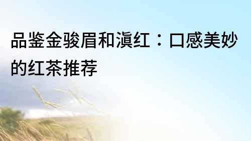 品鑒金駿眉和滇紅：口感美妙的紅茶推薦