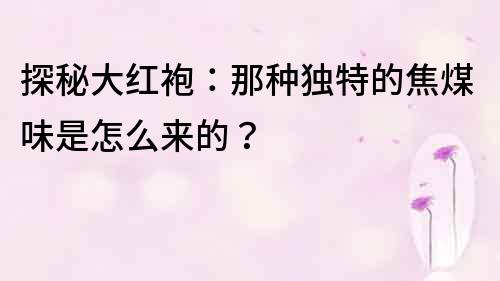 探秘大紅袍：那種獨特的焦煤味是怎么來的？