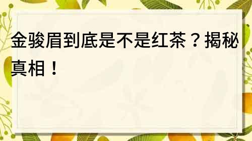 金駿眉到底是不是紅茶？揭秘真相！