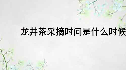 龍井茶采摘時間是什么時候？