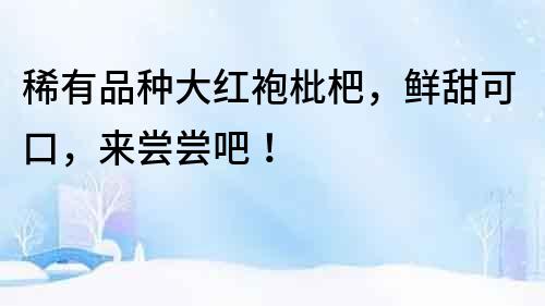 稀有品種大紅袍枇杷，鮮甜可口，來嘗嘗吧！