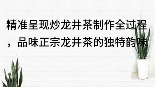 精準呈現炒龍井茶制作全過程，品味正宗龍井茶的獨特韻味