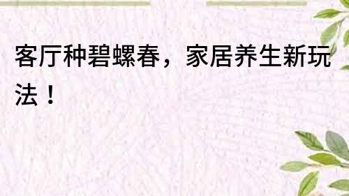 客廳種碧螺春，家居養(yǎng)生新玩法！