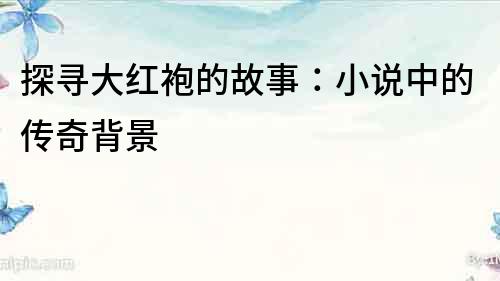 探尋大紅袍的故事：小說中的傳奇背景