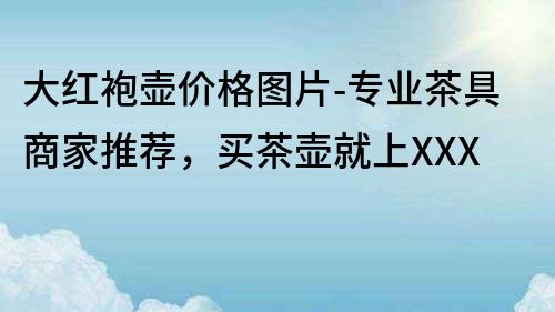 大紅袍壺價格圖片-專業茶具商家推薦，買茶壺就上XXX