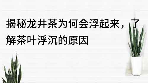 揭秘龍井茶為何會浮起來，了解茶葉浮沉的原因