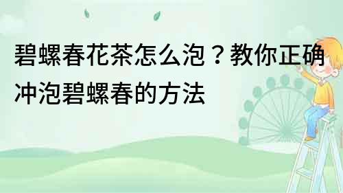 碧螺春花茶怎么泡？教你正確沖泡碧螺春的方法