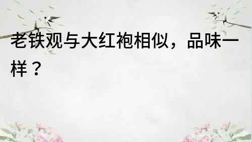 老鐵觀與大紅袍相似，品味一樣？