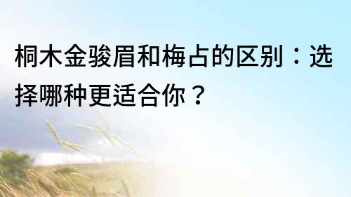 桐木金駿眉和梅占的區別：選擇哪種更適合你？