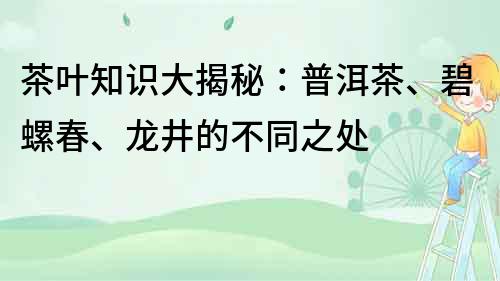 茶葉知識大揭秘：普洱茶、碧螺春、龍井的不同之處