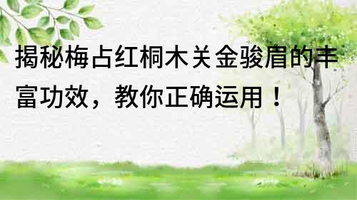 揭秘梅占紅桐木關(guān)金駿眉的豐富功效，教你正確運(yùn)用！