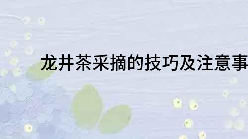 龍井茶采摘的技巧及注意事項
