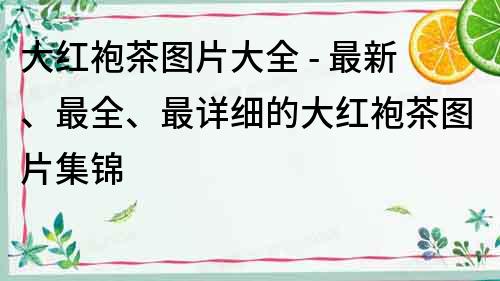 大紅袍茶圖片大全 - 最新、最全、最詳細的大紅袍茶圖片集錦