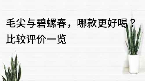 毛尖與碧螺春，哪款更好喝？比較評價一覽