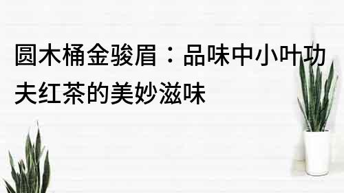 圓木桶金駿眉：品味中小葉功夫紅茶的美妙滋味
