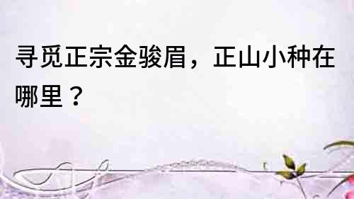 尋覓正宗金駿眉，正山小種在哪里？