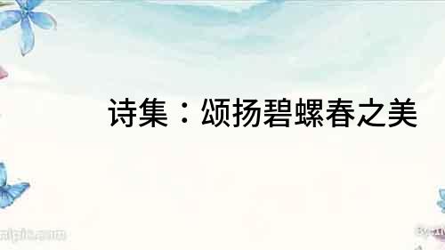 詩集:頌揚碧螺春之美